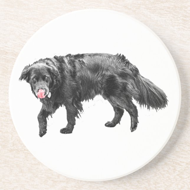 Cinnamon Steam, Scarlet Slickar Underlägg (Framsidan)