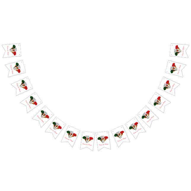 Cinqo de Mayo Vimplar (Alla)