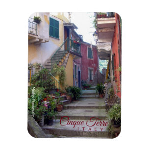 Cinque Terre (den Monterosso gatan) Magnet