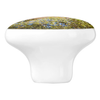 Cinque Terre Knob for Travellers  Knopp