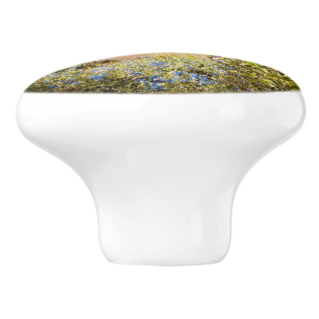 Cinque Terre Knob for Travellers  Knopp (Sidan)
