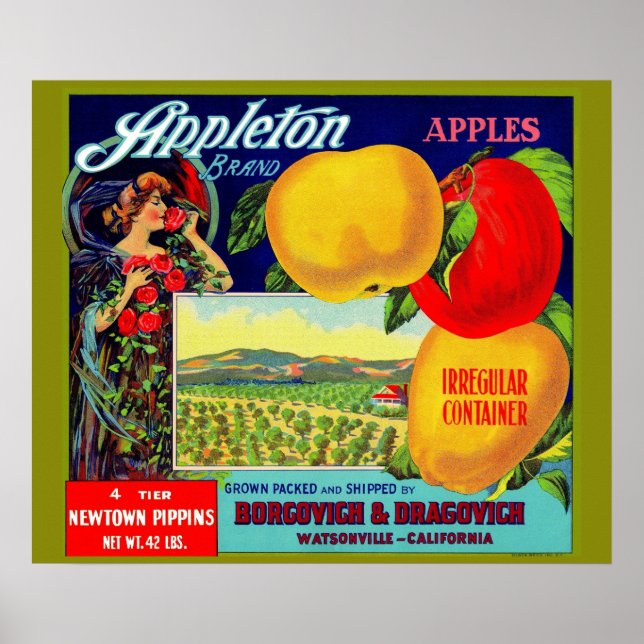 Circa 1900 Appleton Apples låda-etikett Poster (Framsidan)