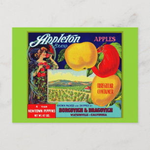 Circa 1900 Appleton Apples låda-etikett Vykort