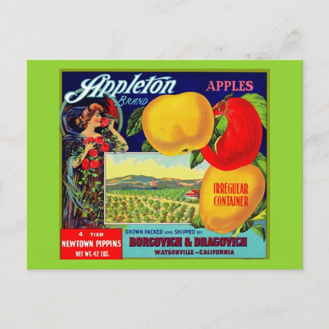 Circa 1900 Appleton Apples låda-etikett Vykort (Framsida)