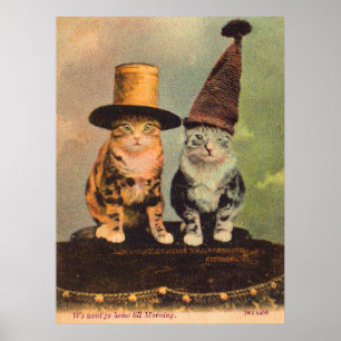 Circa 1900 katter på hattar i RPPC Poster