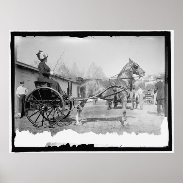Circa 1911 Horse Photography Poster (Framsidan)
