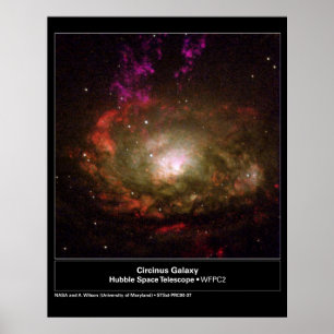Circinus galaxHubble teleskop Poster