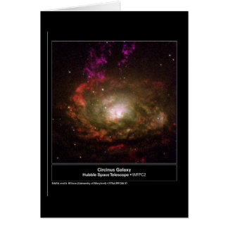 Circinus Galaxy Hubble Telescope Hälsningskort