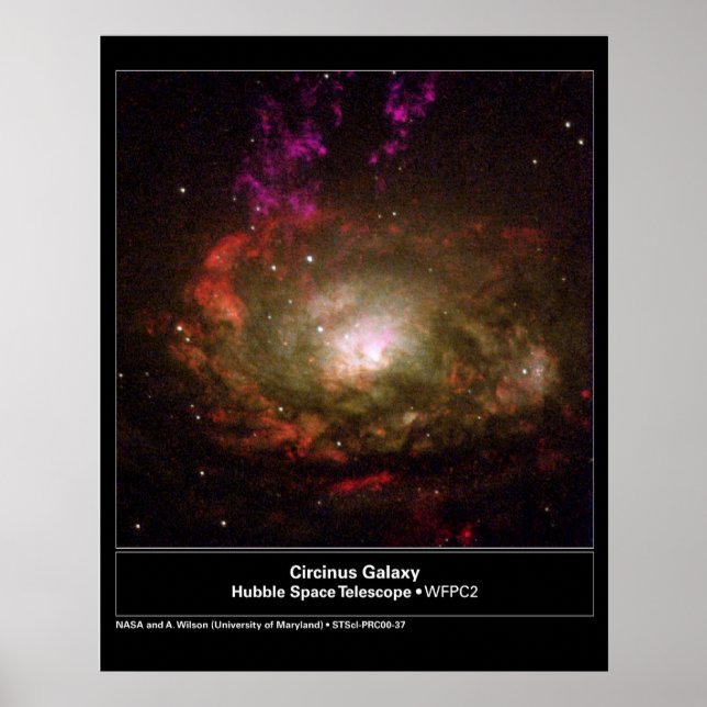 Circinus Galaxy Hubble Telescope Poster (Framsidan)