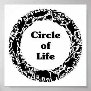 Circle of life poster