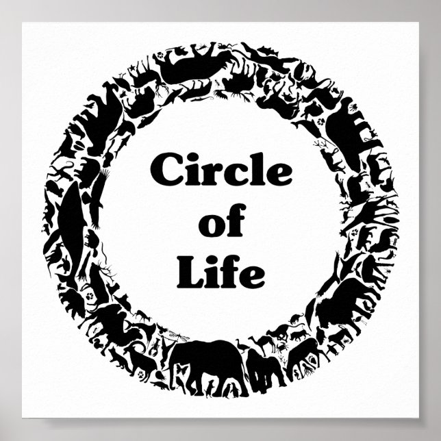 Circle of life poster (Framsidan)