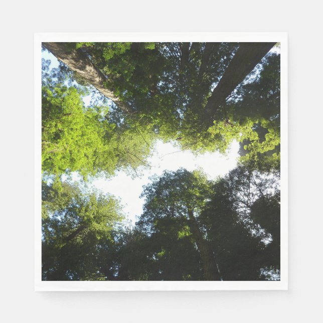 Circle of Redwood Träd vid Redwood National Park Pappersservett (Framsidan)