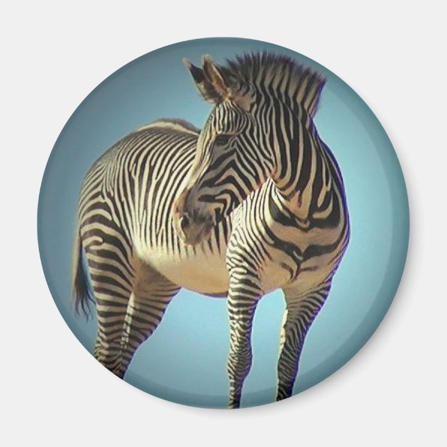 Circular Zebra Magnet (Framsidan)