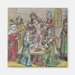 Circumcision Magnet