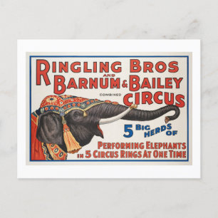 Circus 5 Big Herds of Performing Elephants Vykort