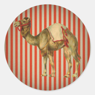 CIRCUS CAMEL-VINTAGE RUNT KLISTERMÄRKE