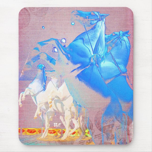 Circus Digital Art Horses Musmatta (Framsidan)