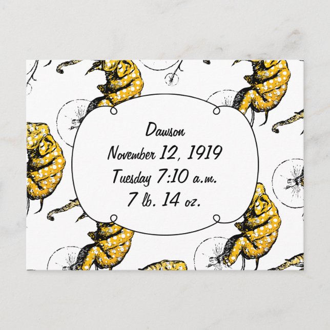 Circus Elephant Gifts Vykort (Framsida)