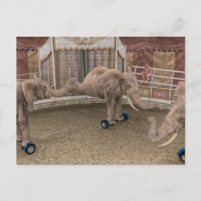 Circus Elephants Helg Vykort (Framsida)