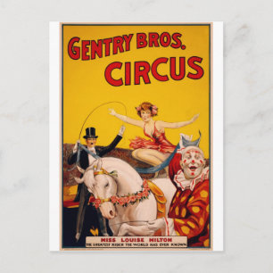 Circus Horse Vykort