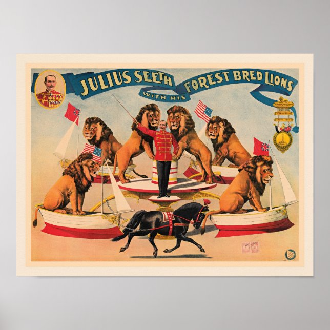 Circus Lions, vintage illustration, Poster (Framsidan)