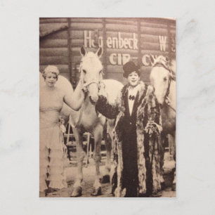 Circus Performers and White Horses Vykort