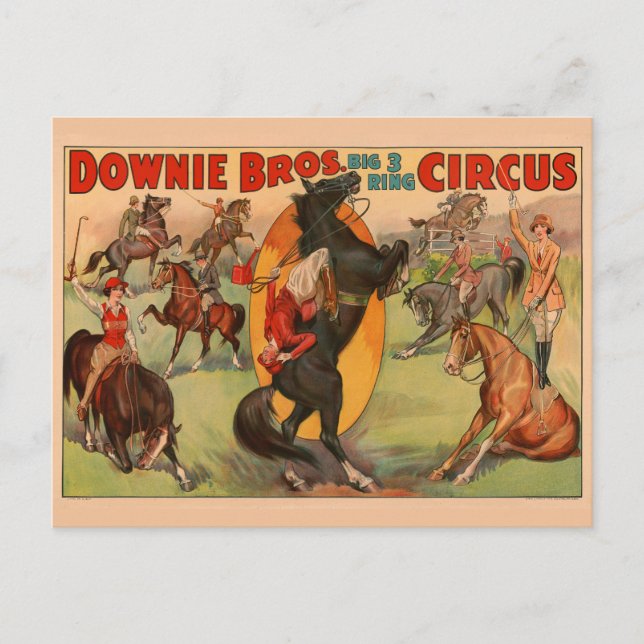 Circus Poster att visa många hästar som gör stenar Vykort (Framsida)