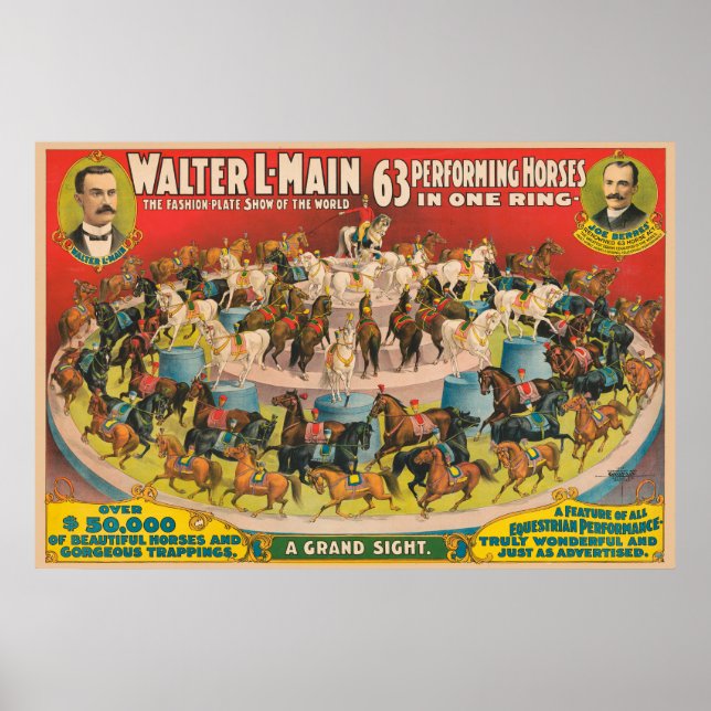 Circus Poster av 63 hästar i en Ring (Framsidan)