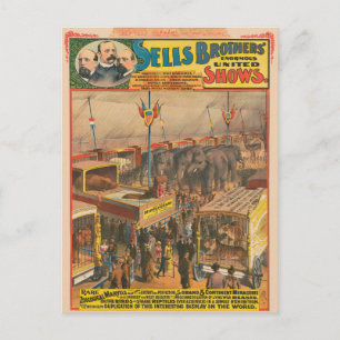 Circus Poster av djur på försök i Tält Vykort