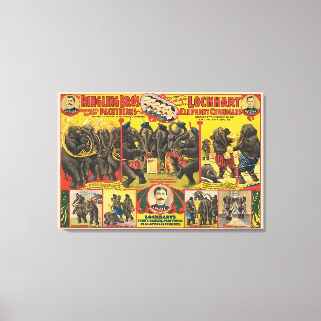 Circus Poster av elefanter som utför Canvastryck (Framsida)