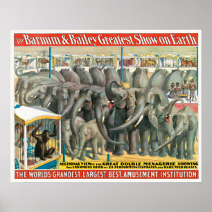 Circus Poster elefanter och djur i burar