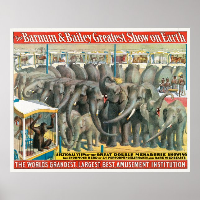 Circus Poster elefanter och djur i burar (Framsidan)