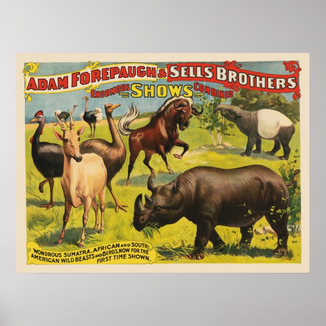 Circus Poster för Adam Forepaugh & Sells Brothers (Framsidan)