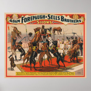 Circus Poster Great dane med tränare