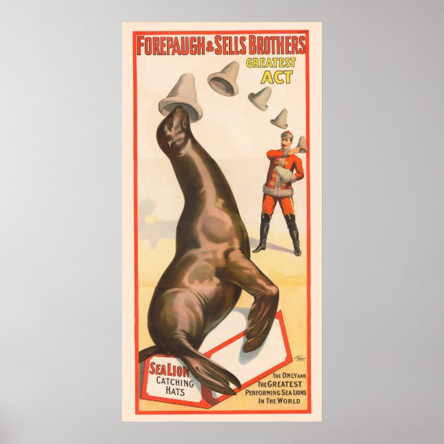 Circus Poster med Lejona fångsthattar i havet (Framsidan)