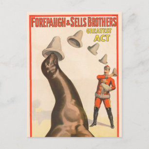 Circus Poster med Lejona fångsthattar i havet Vykort