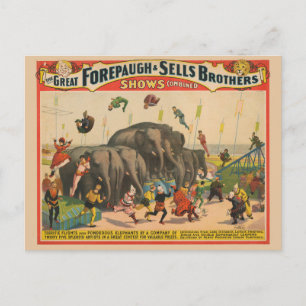 Circus Poster om Acrobat som hoppar över elefanter Vykort