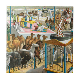 Circus Poster om människor av olika nationaliteter Kakelplatta