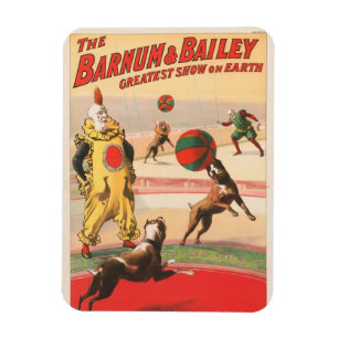 Circus Poster visa kläder med Hundar Magnet