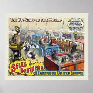 Circus Poster visa Vilda djur i burar