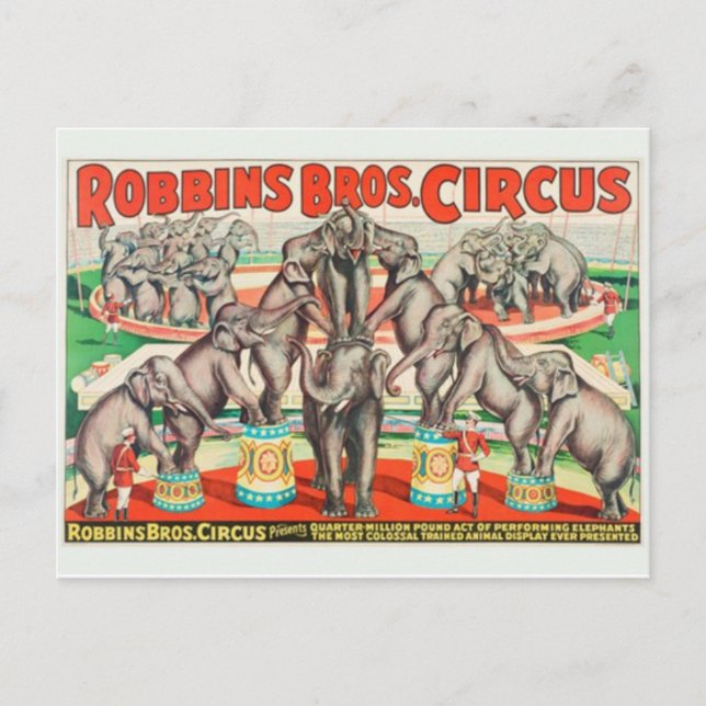 Circus Poster vykort (Framsida)