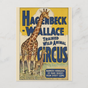 Circus Poster vykort