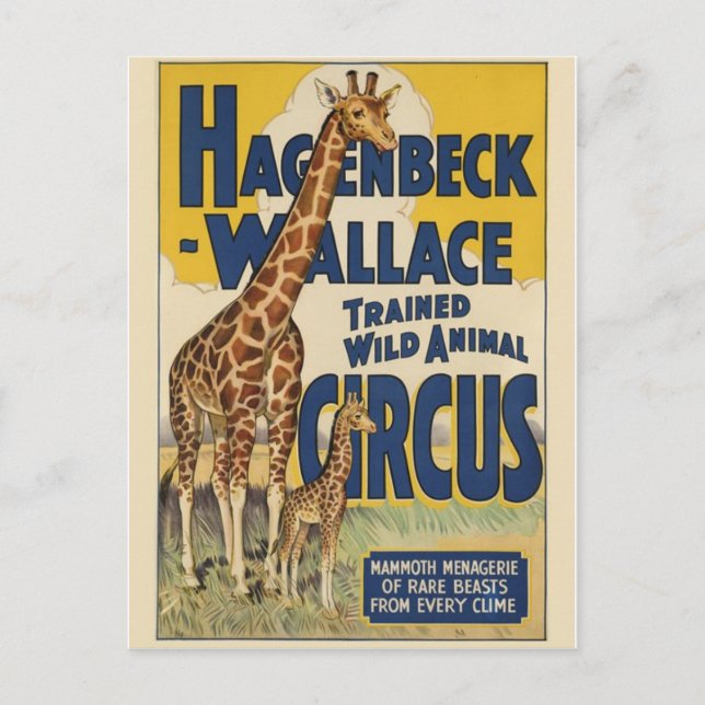 Circus Poster vykort (Framsida)