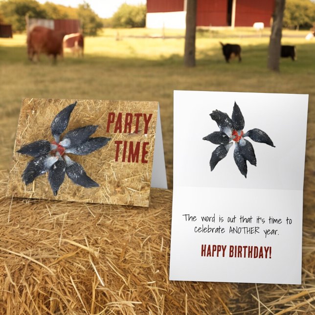 Cirkel av svarta och vita höns som äter vattenmelo kort (custom greeting card front and inside)