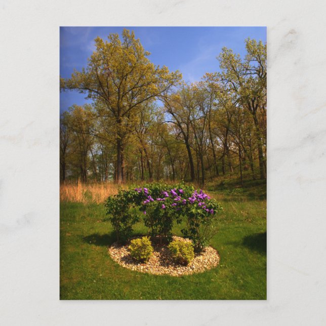 Cirkel för vykort för påfyllnad (Framsida)