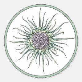 Cirkel och testämne Blommans rundade förslutning Runt Klistermärke