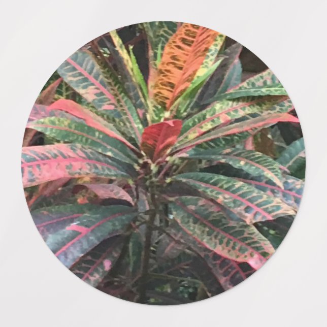 CIRKELMÄRKEN KLISTERMÄRKE (Design 3)