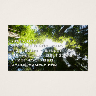 Cirkeln av Redwood-träd vid Redwood National Park Visitkort