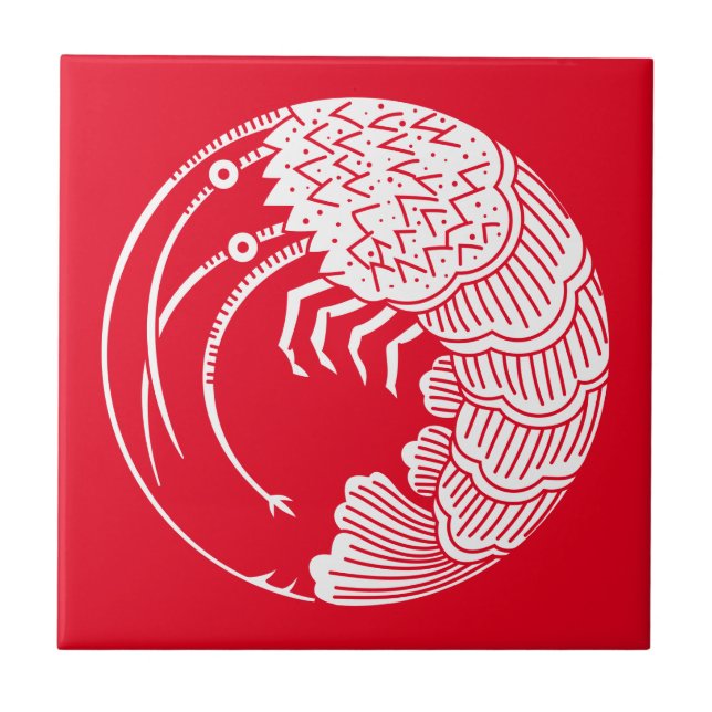 Cirkelplattor för skräppostron kakelplatta (Framsidan)