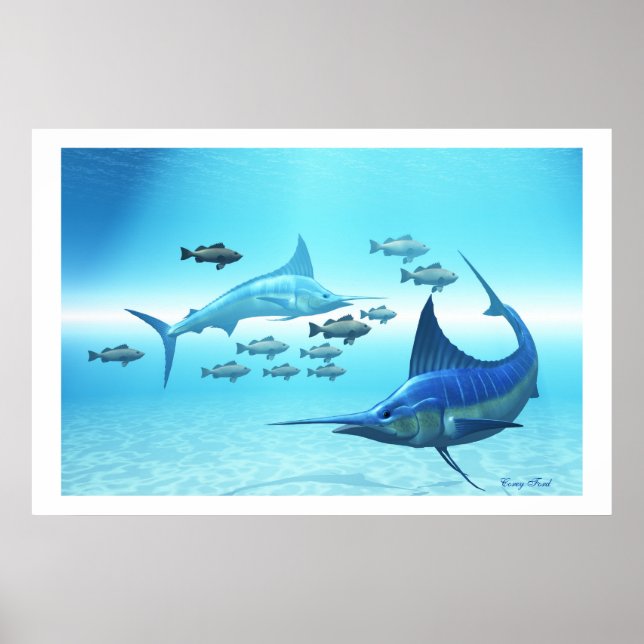 CIRKELSKRIVET POSTER (Framsidan)